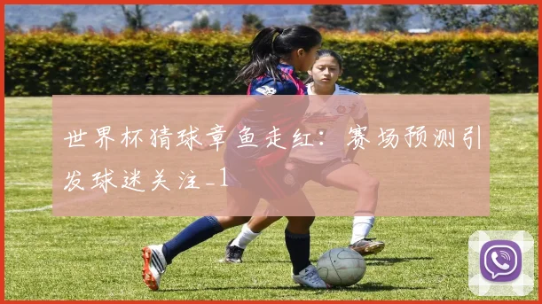 世界杯猜球章鱼走红:赛场预测引发球迷关注_1