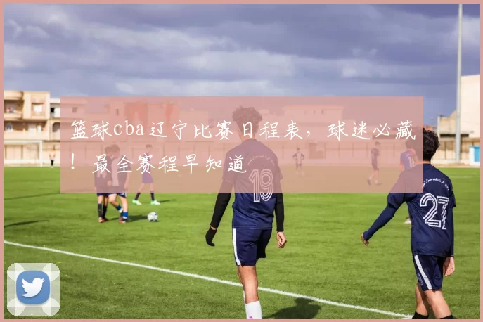 篮球cba辽宁比赛日程表，球迷必藏！最全赛程早知道