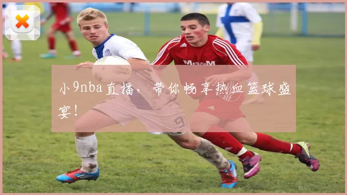 小9nba直播，带你畅享热血篮球盛宴！